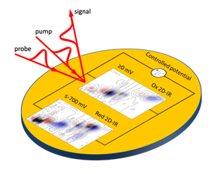 2D-IR spectroelectrochemistry